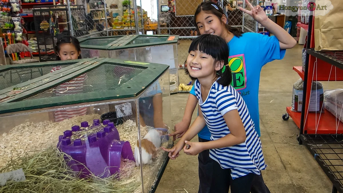 20130722-HYA-Summer-Camp-ArtExplorers-124.jpg