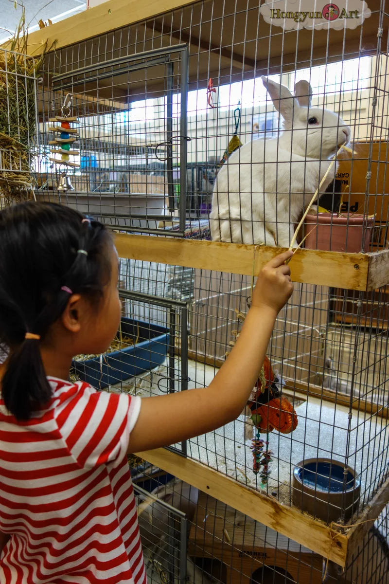 20130722-HYA-Summer-Camp-ArtExplorers-126.jpg