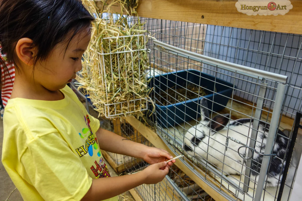 20130722-HYA-Summer-Camp-ArtExplorers-127.jpg