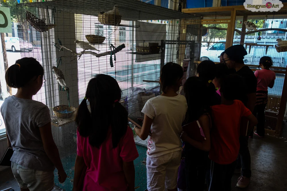 Hongyun-Art-20130805-Art-Explorers-Camp-102.jpg