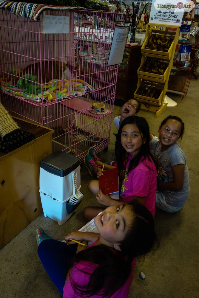 Hongyun-Art-20130805-Art-Explorers-Camp-109.jpg