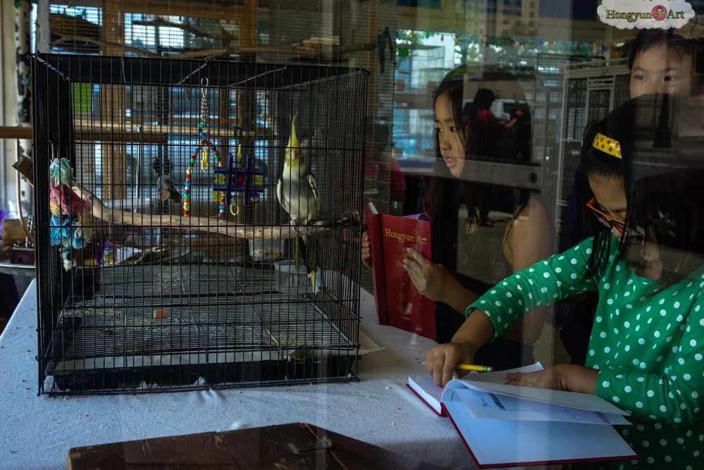 Hongyun-Art-20130805-Art-Explorers-Camp-110.jpg