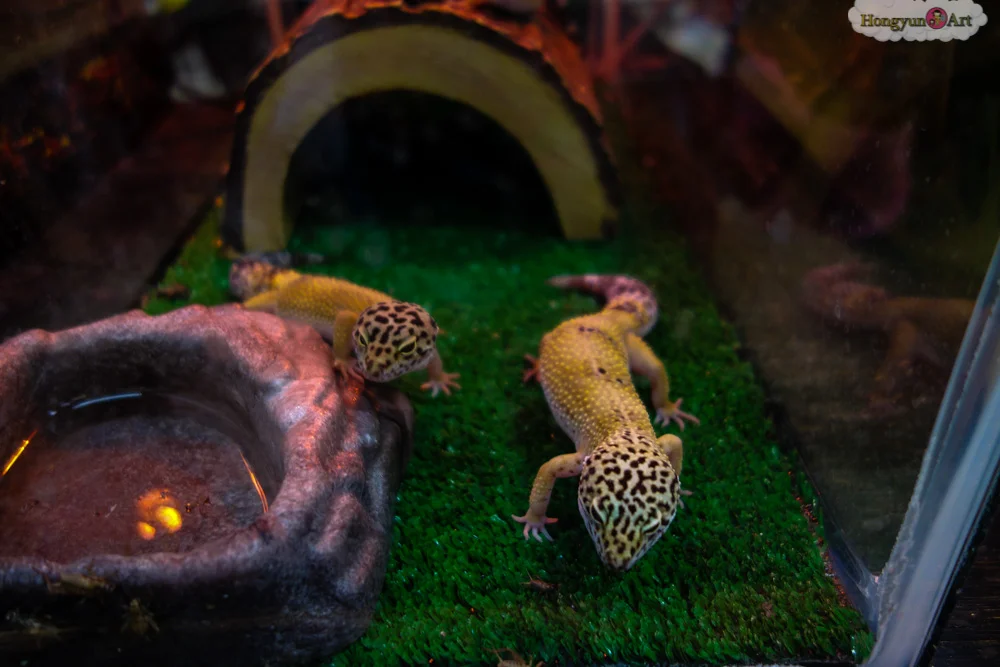 Hongyun-Art-20130805-Art-Explorers-Camp-119.jpg