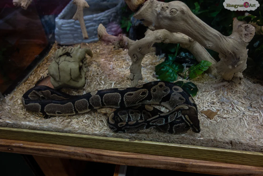 Hongyun-Art-20130805-Art-Explorers-Camp-120.jpg