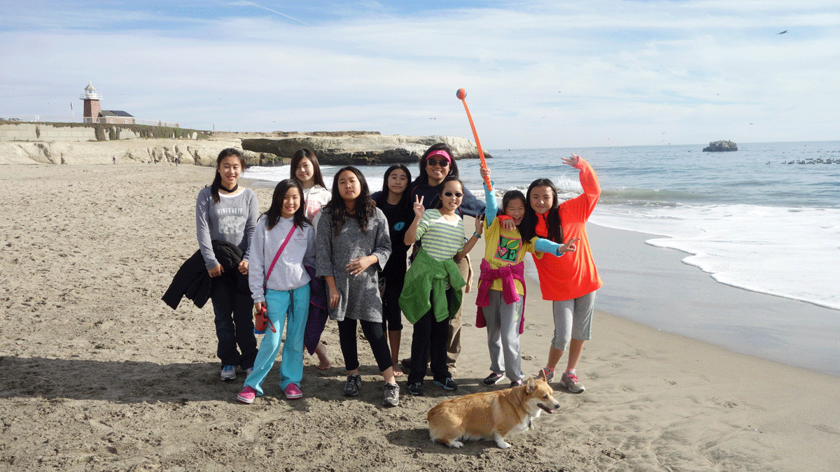 beach.gif