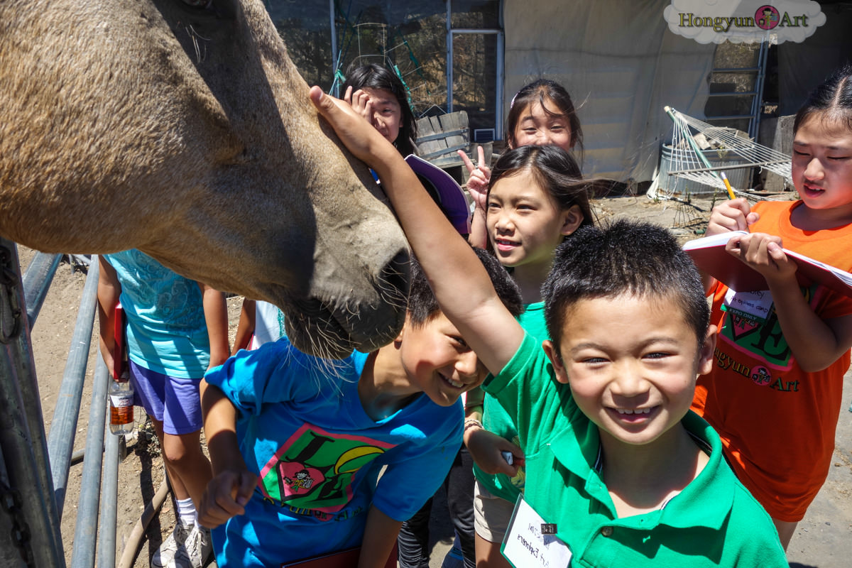 2013 Art Explorers Camp Photos 照片