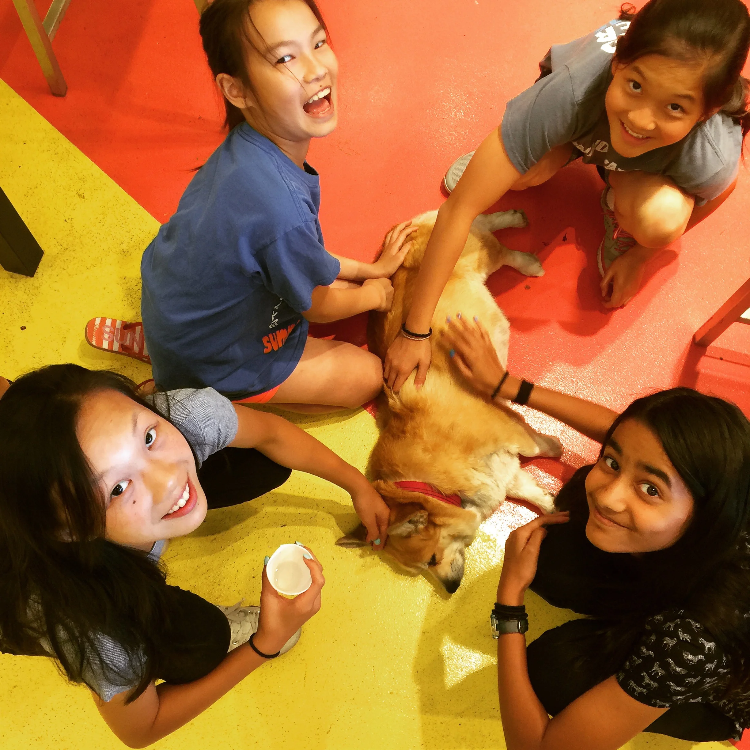 Happy Labor Day! YES We're OPEN!