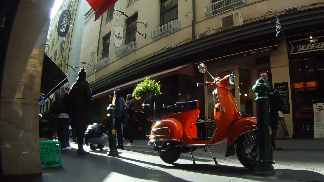 Serena Geddes: Live window illustration - Lulu Bell