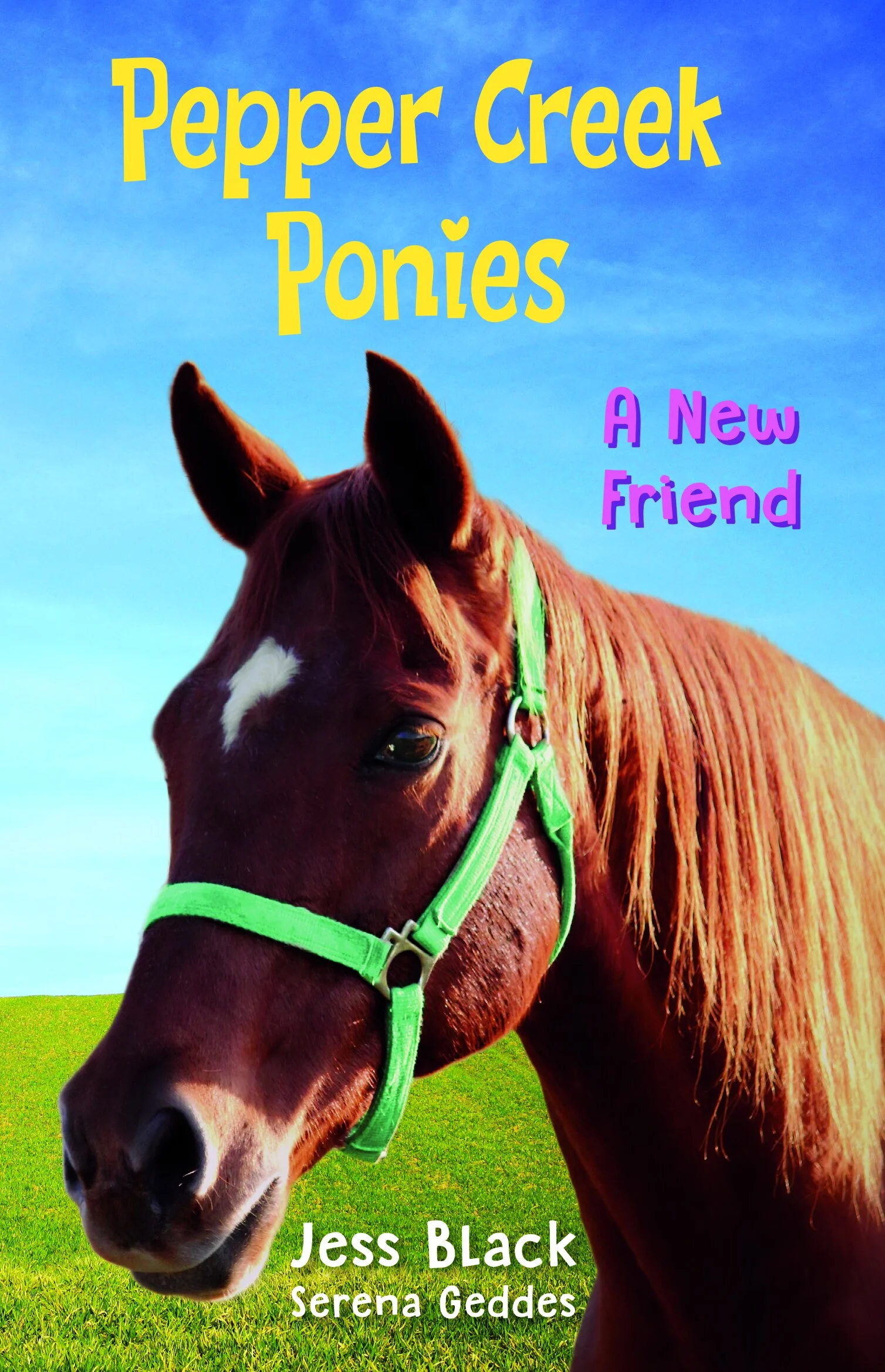 Pepper Creek Ponies Book launch and workshop 