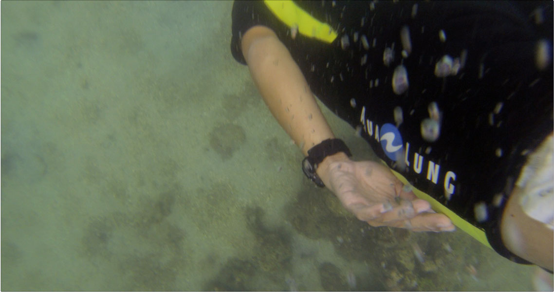 Snorkelling in India