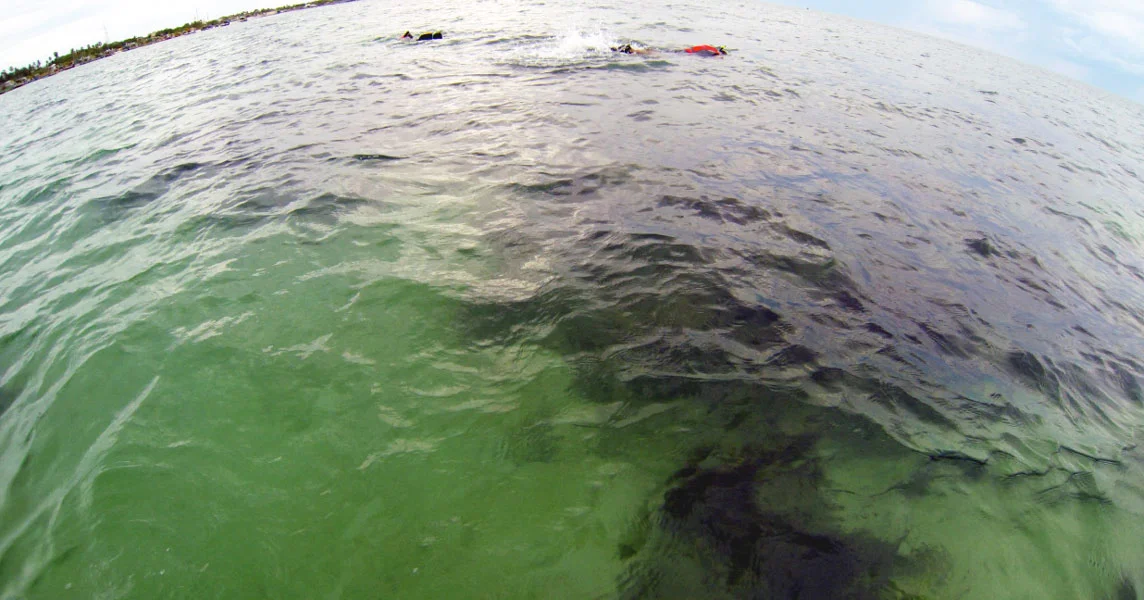 Snorkelling in India