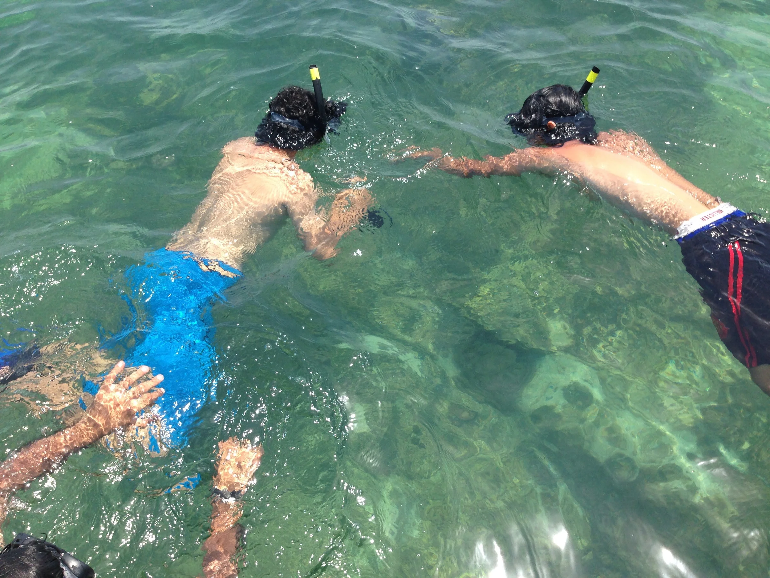 Snorkelling in India, Coral reef