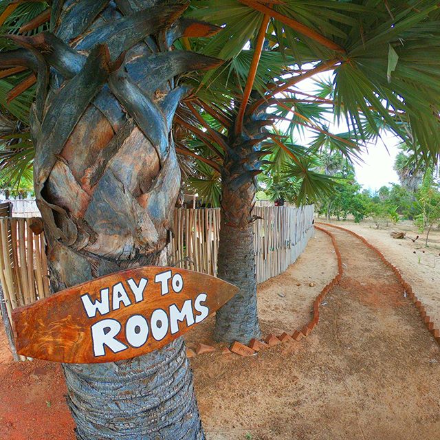 Our boutique home stay hosts 4 comfortable ensuite natural cottages located near the pristine blue Palk bay with an endless stretch of sandy white beach. Our home is well suited for travellers who would like to spend time by the sea & close to nature.
#kathadinorth #rameswaram #lifeinthedeepsouth #homestay #rameswaram #goproindia #resposnibletravel @outlooktraveller @outlook_responsibletourism @kitesurfingworld @lonelyplanetindia
