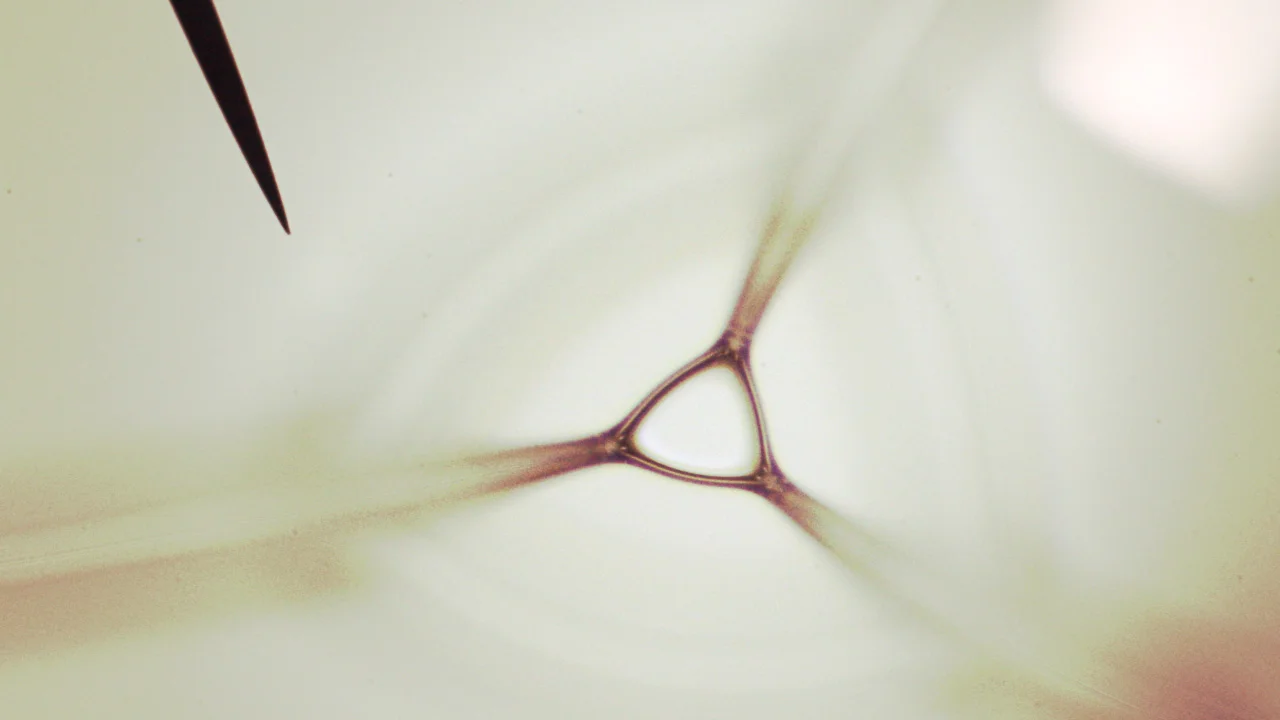 header_gost.jpg