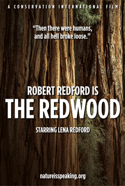 Redwood.gif