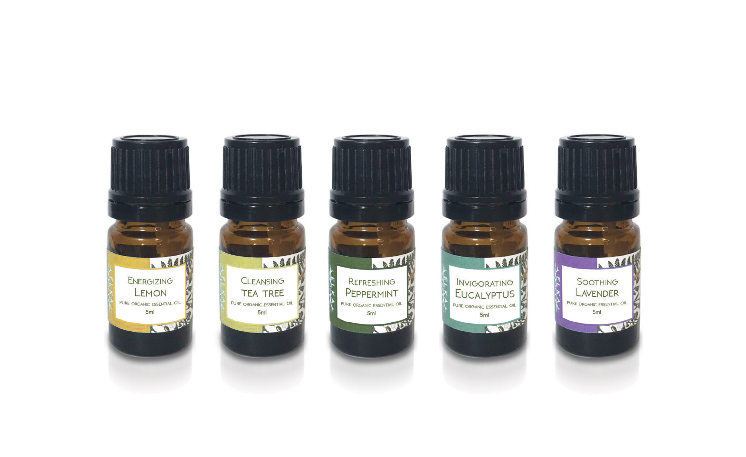 CLICK TO SHOP Essential Oil Starter Kit