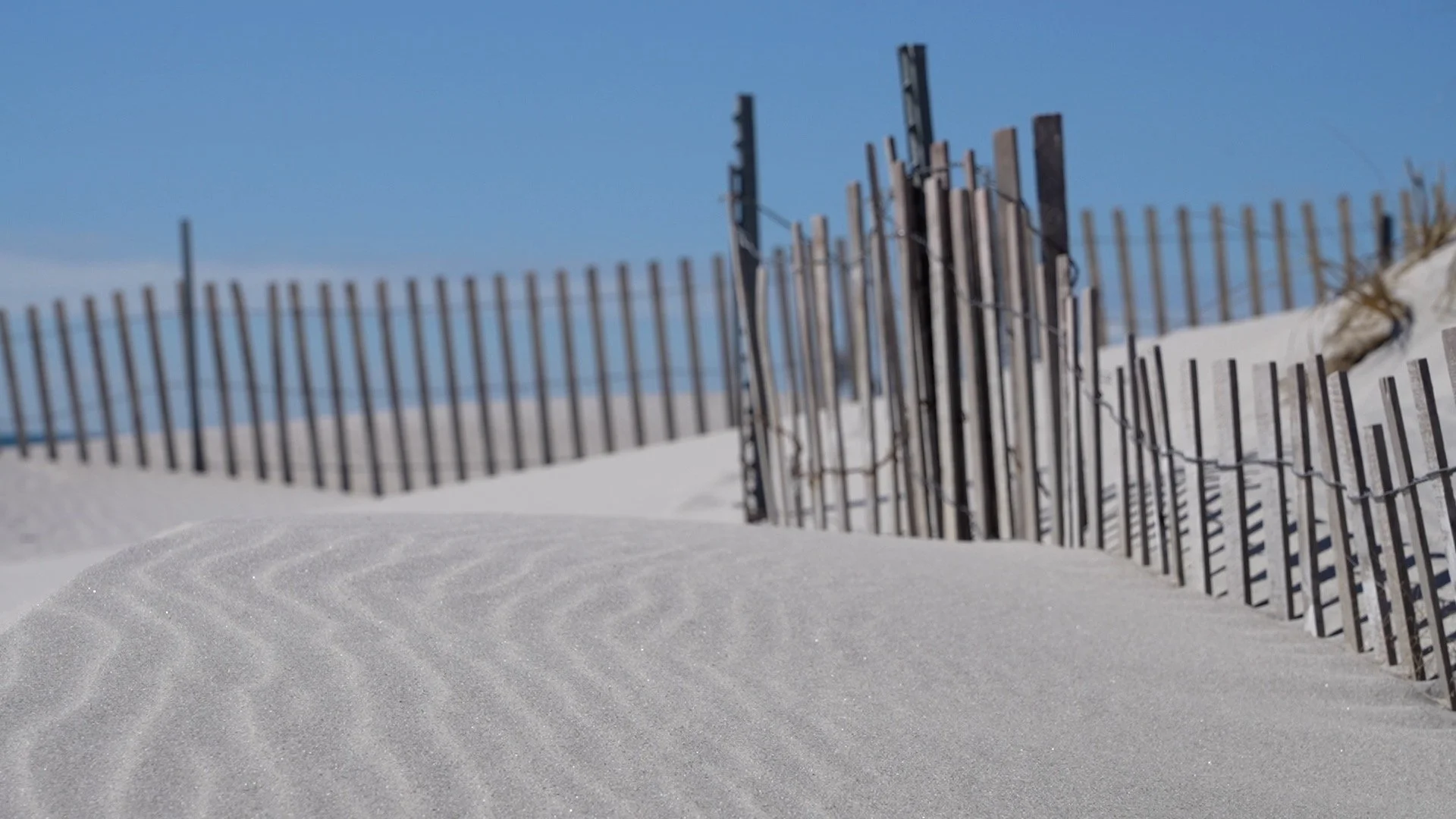 The Swallow's Nest Set