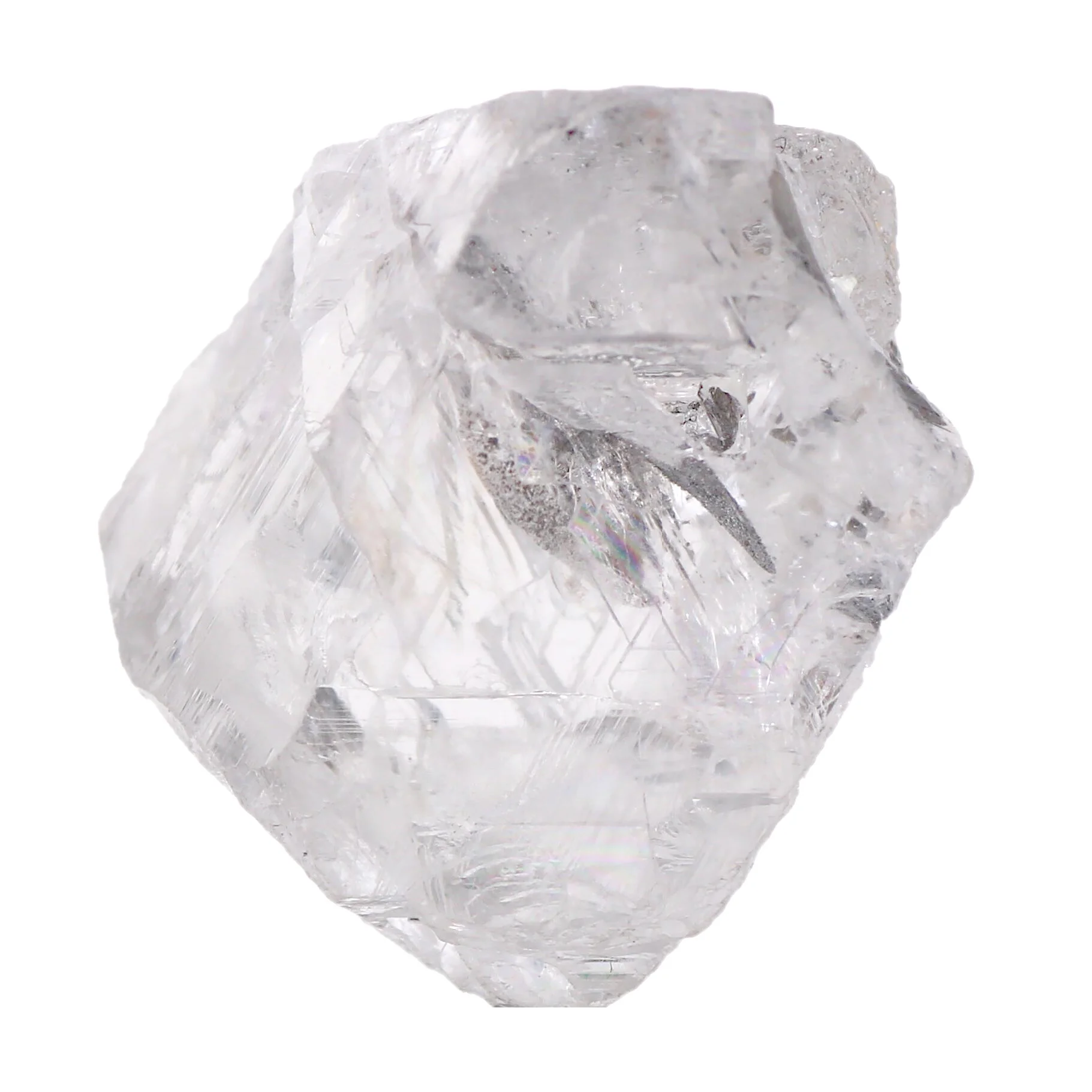 RB_TYPE2A_041221-1CT05_ROUGH.jpg