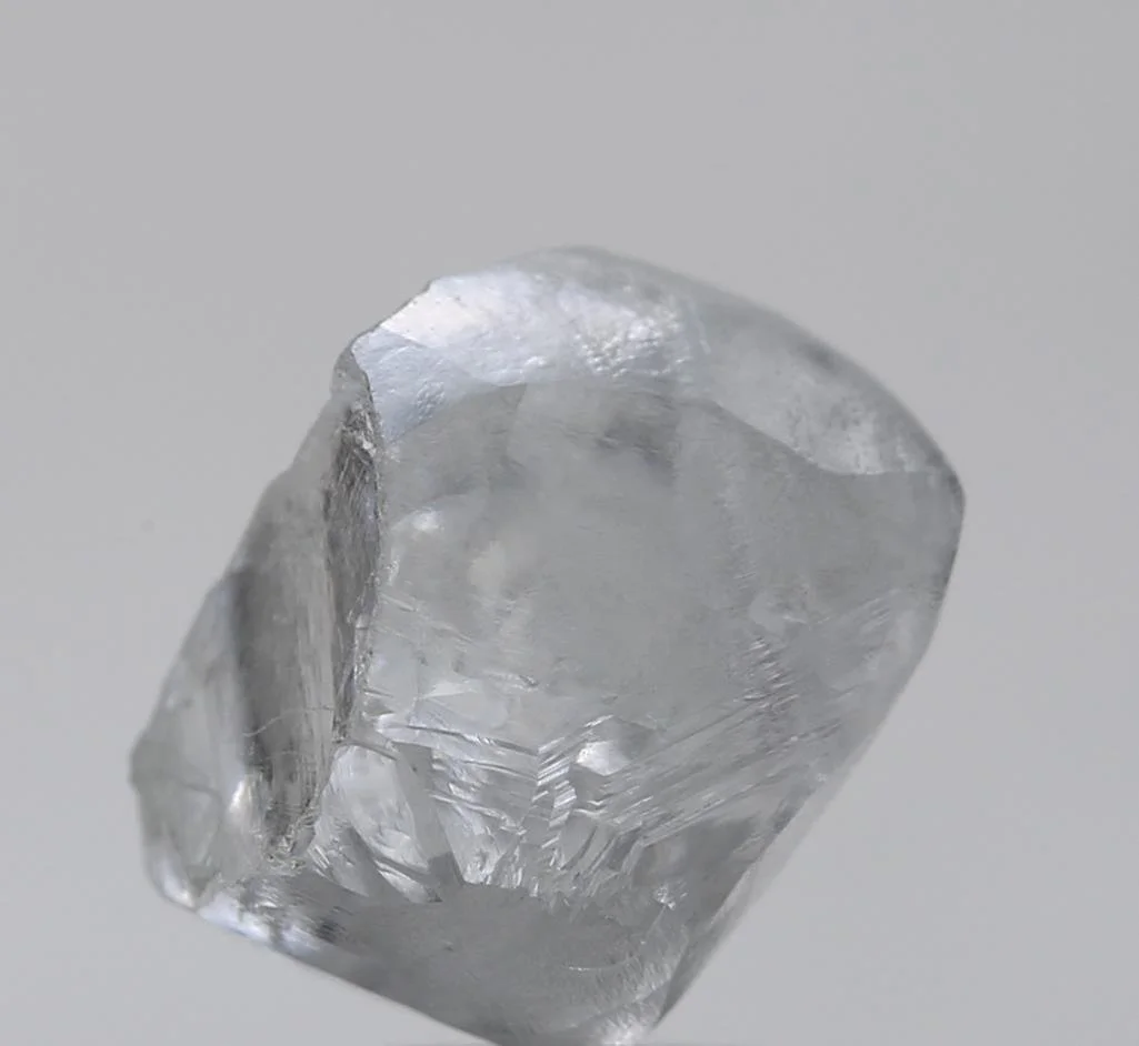 1802005900.jpg