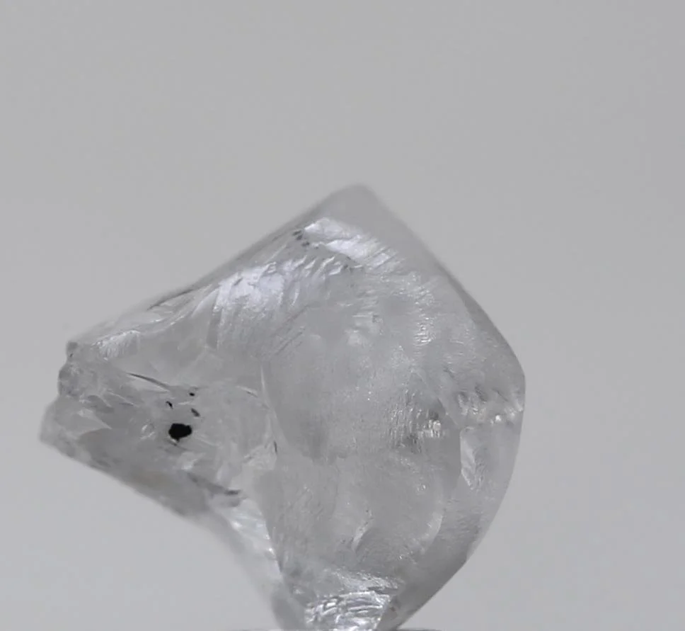 1832005200.jpg