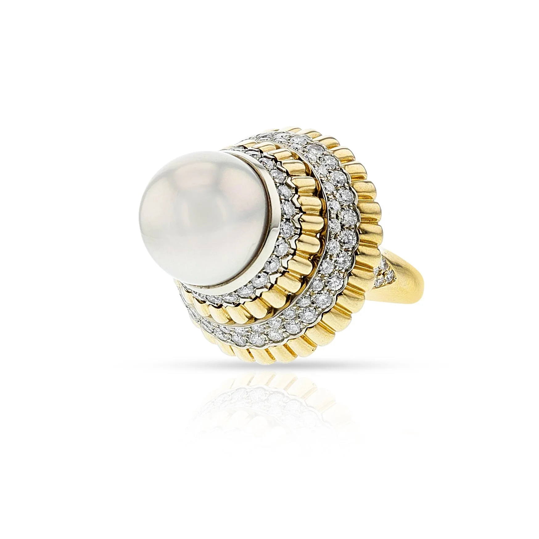 1583- C.jpg