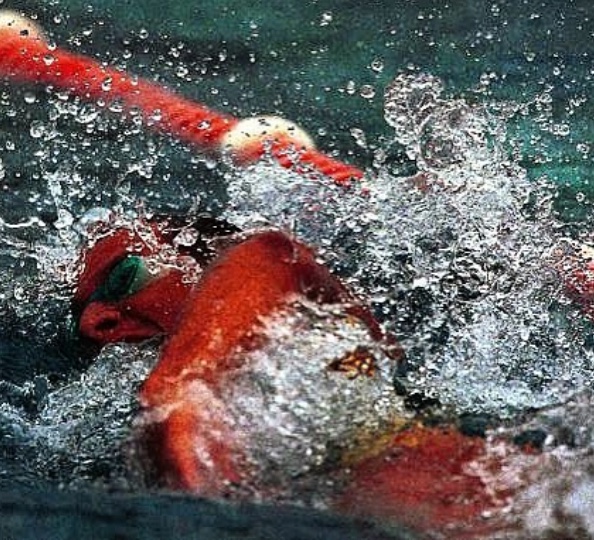 MACCA SWIM.jpeg