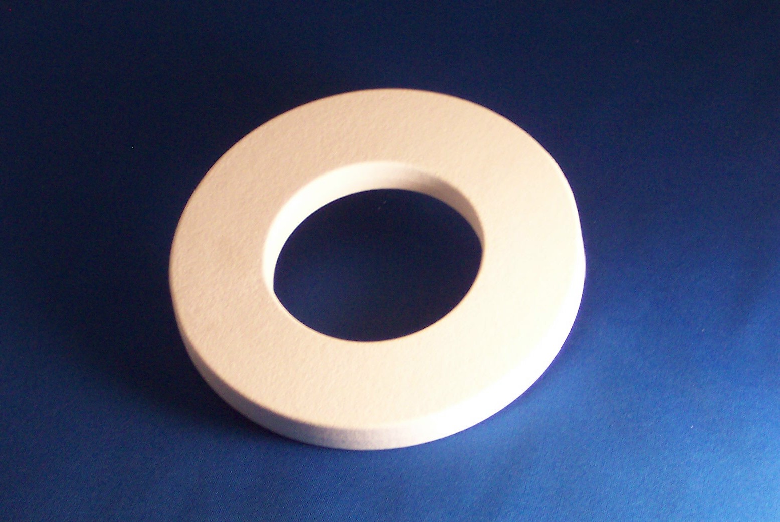 Refractory Ring 2.jpg