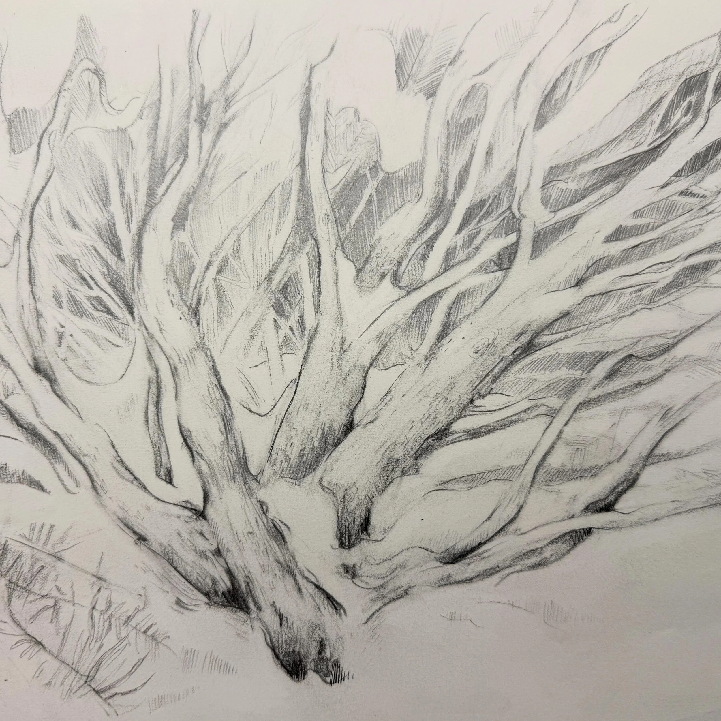 Revisited a sketch that I made for layout of an earlier painting - now ready for hanging. 

Matthunterross.com
.
#matthunterross