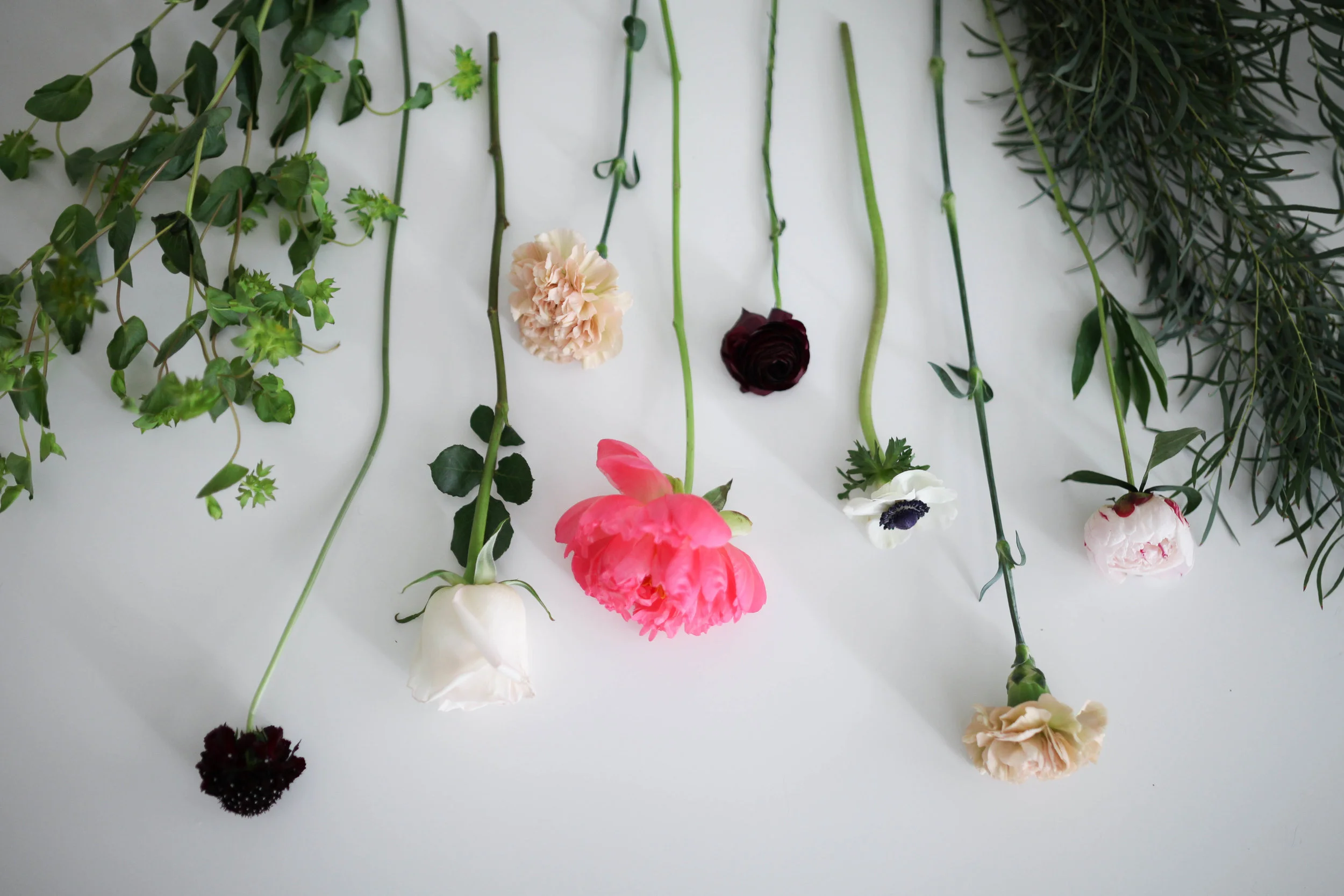 Fleurs-11.jpg