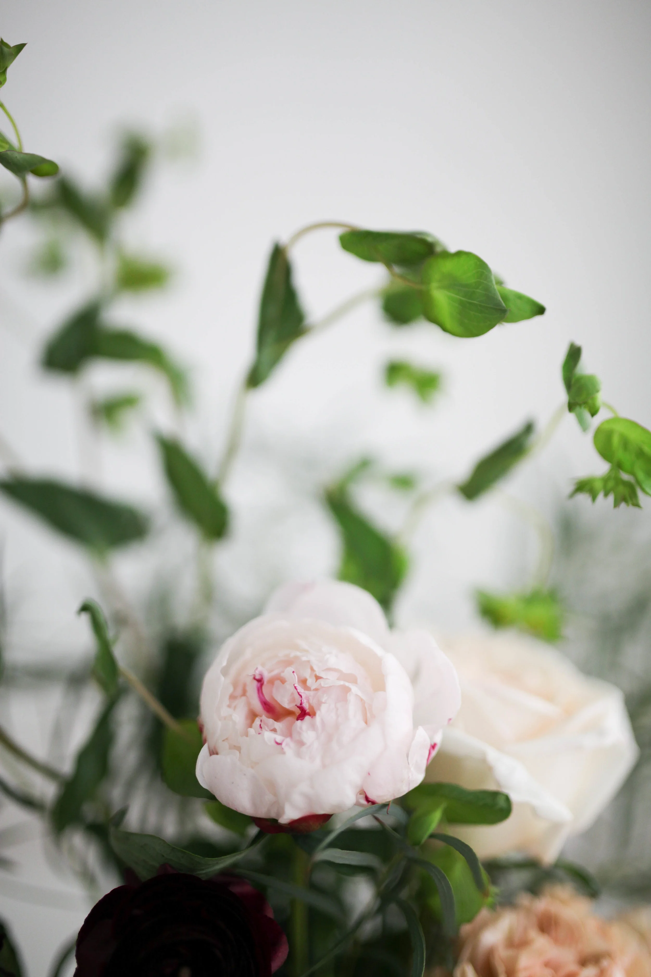 Fleurs-68.jpg