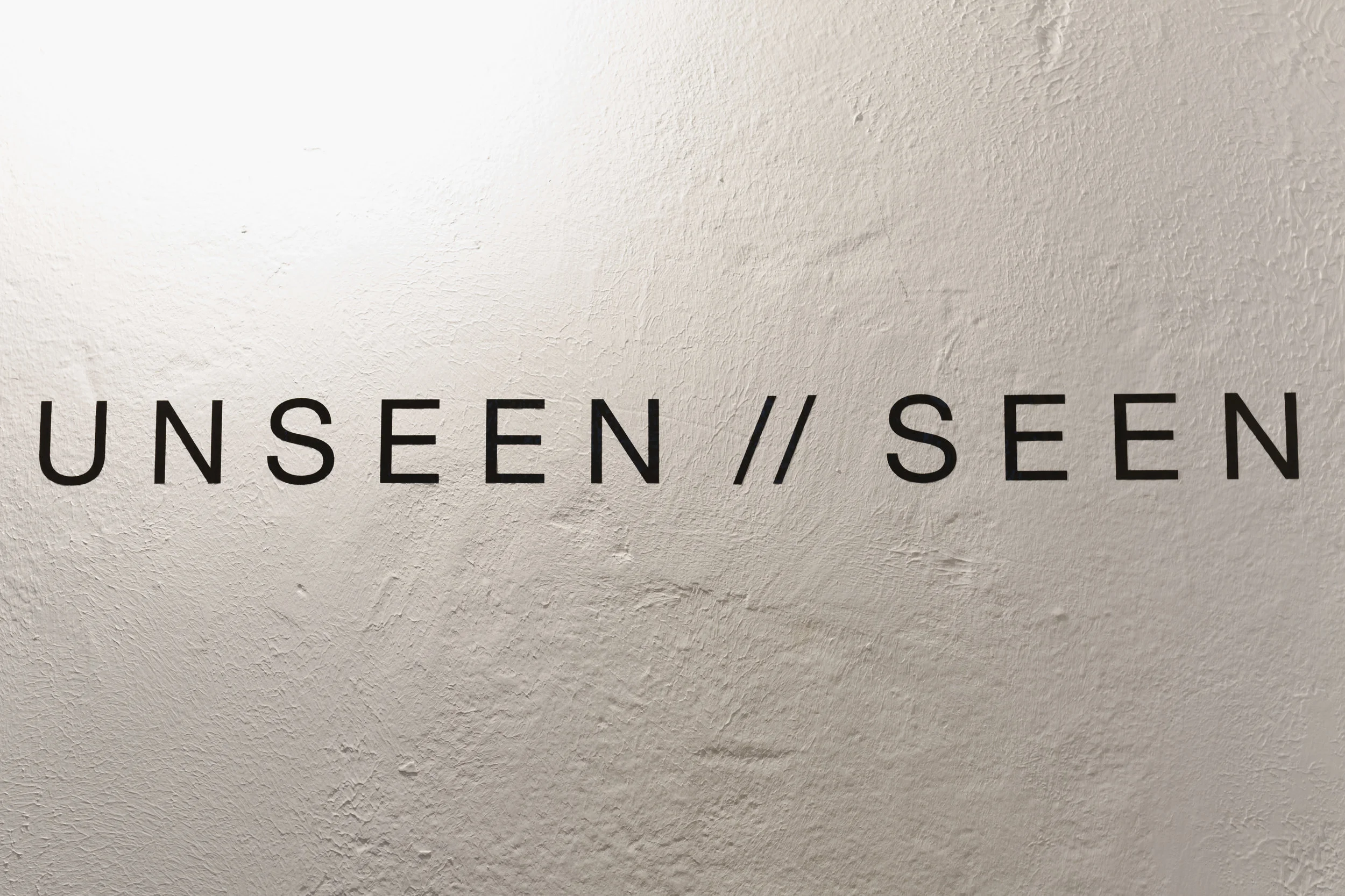 AOKI Unseen Seen_9.30.18-85.jpg