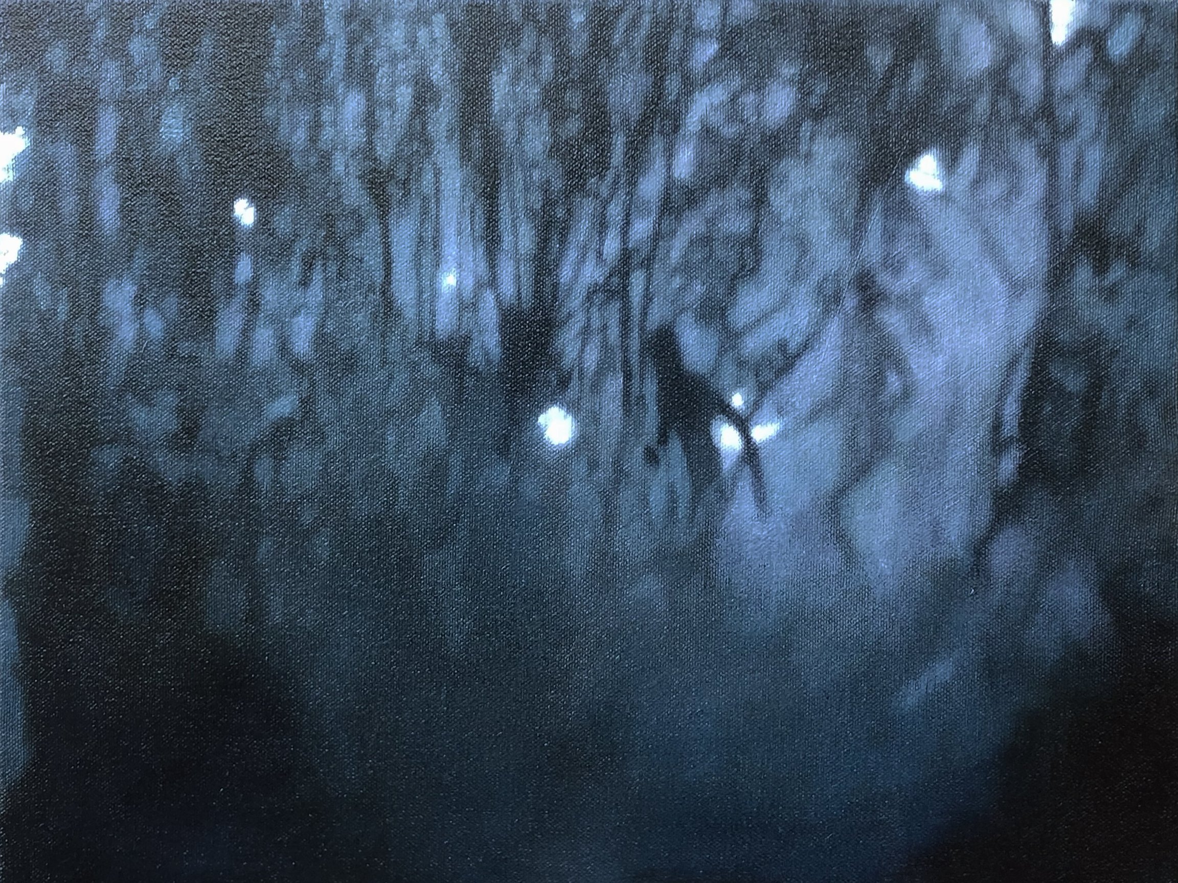 Lights in the forest (still from Tarkovsky's Andrei Rublev)