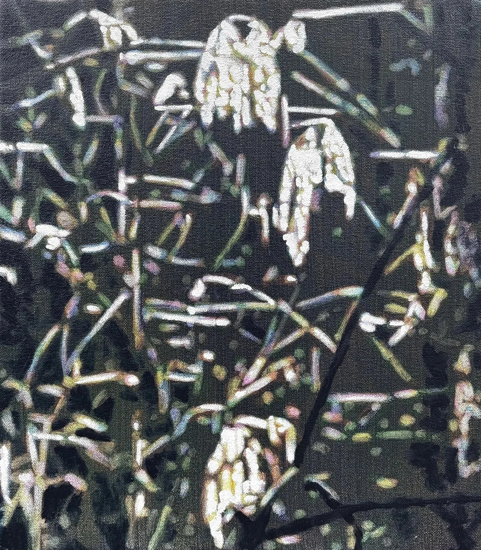 Zoom 2, oil on canvas, 16" x 14", 2026