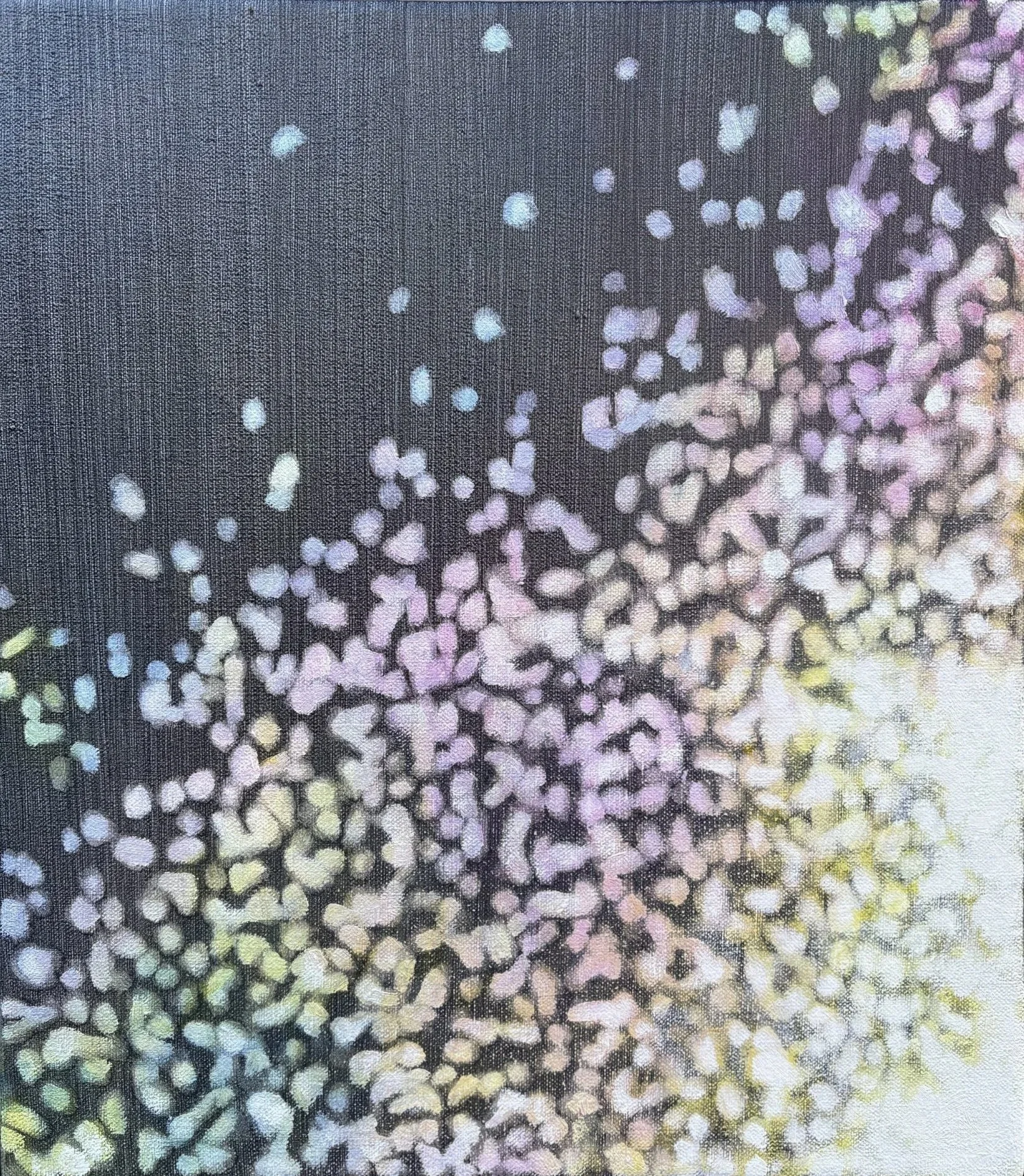 Shimmer 1, oil on canvas, 16" x 14", 2026