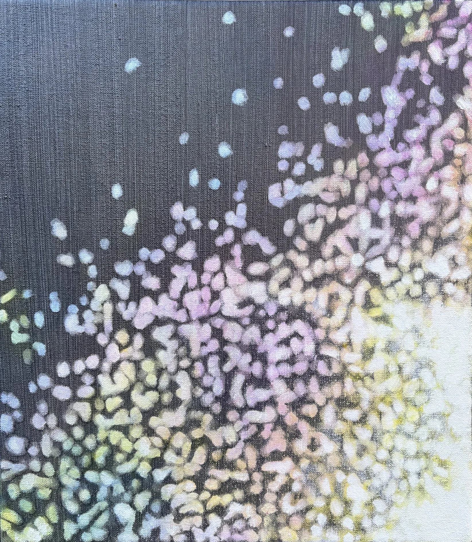 Shimmer 1, oil on canvas, 16" x 14", 2026