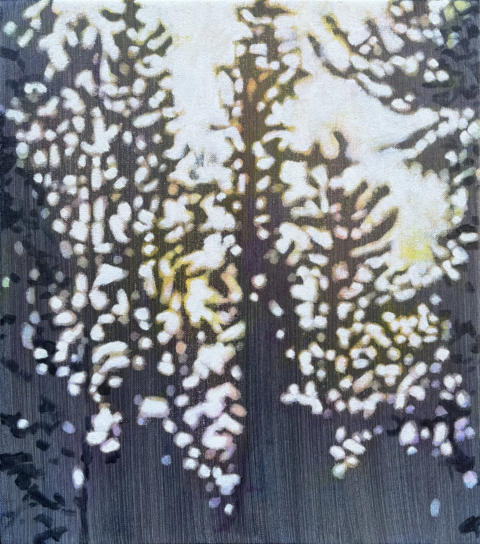 Shimmer 2, oil on canvas, 16" x 14", 2026