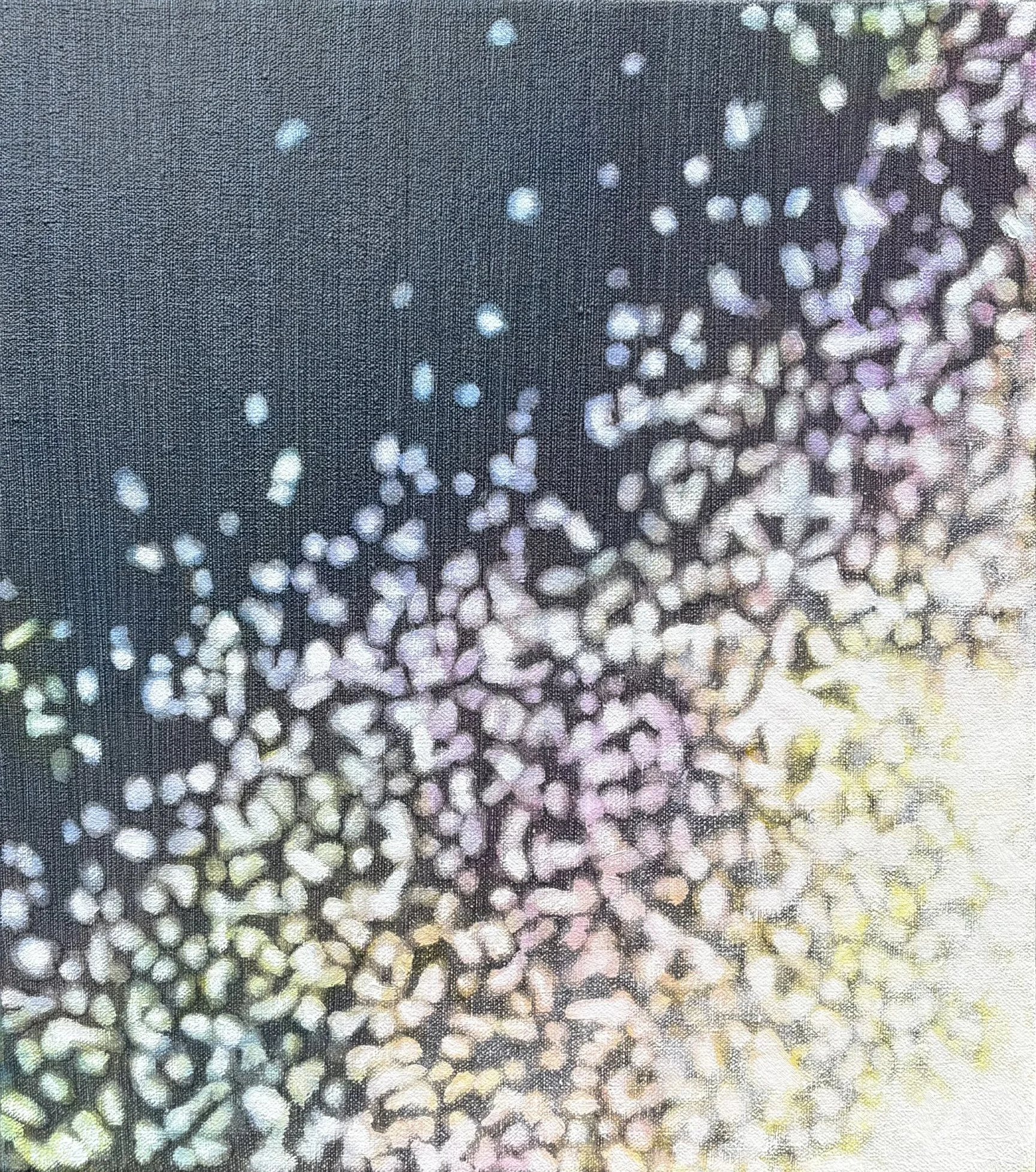 Shimmer 1, oil on canvas, 16" x 14", 2026