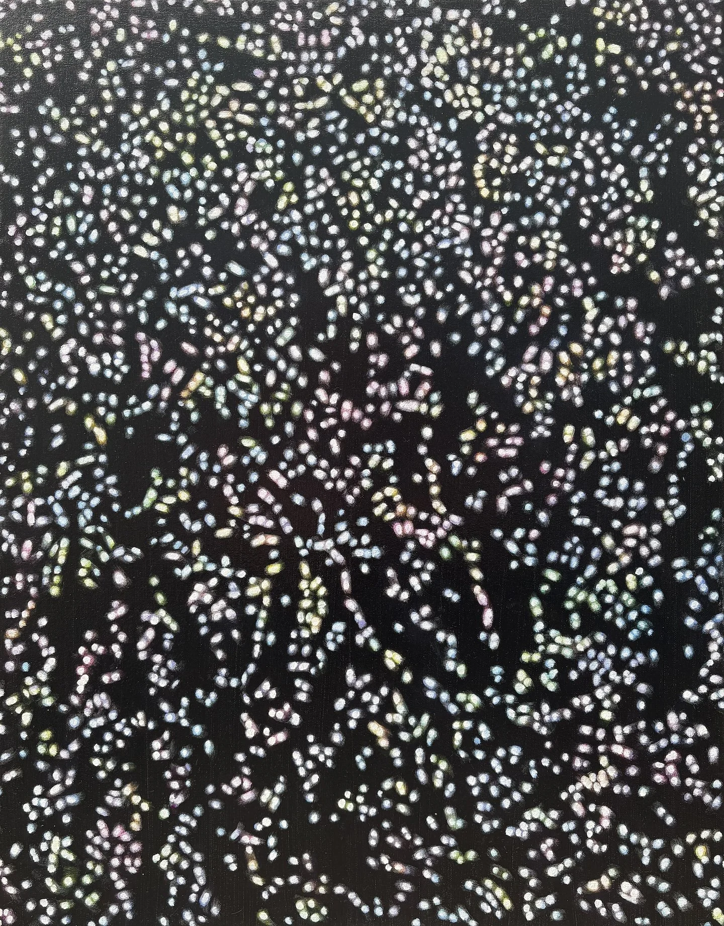 Sun Glitter 1, oil on canvas, 28" x 22", 2026