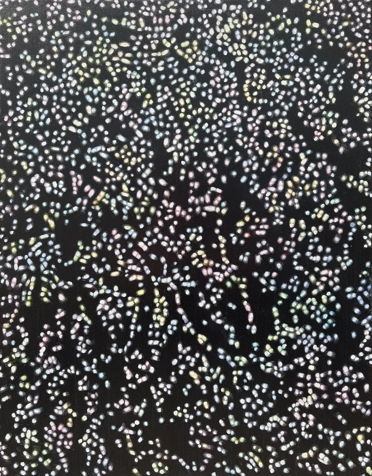 Sun Glitter, oil on canvas, 28" x 22", 2026