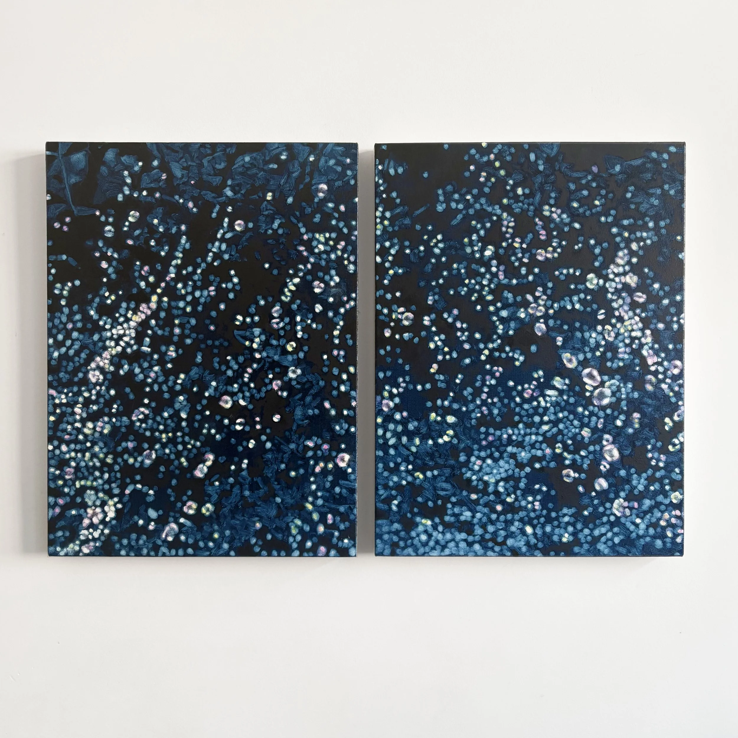 Falls 1 and 2, oil on canvas, 24" x 18" each, 2026