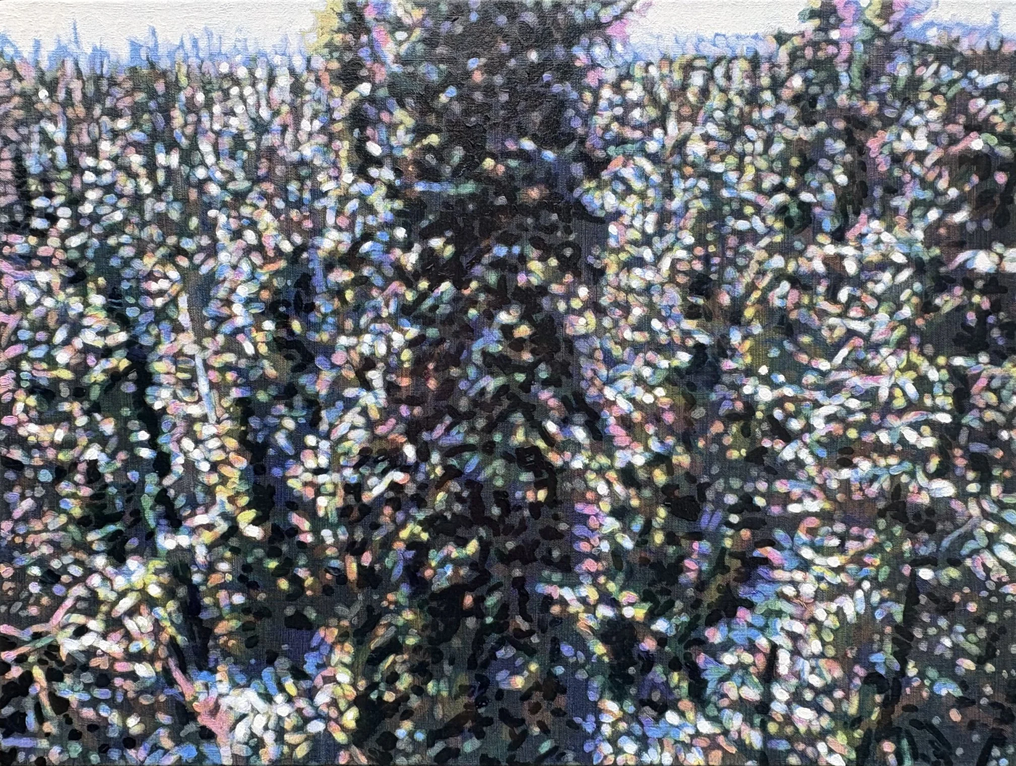 A veiled, tremulous light, oil on canvas, 24" x 32", 2026