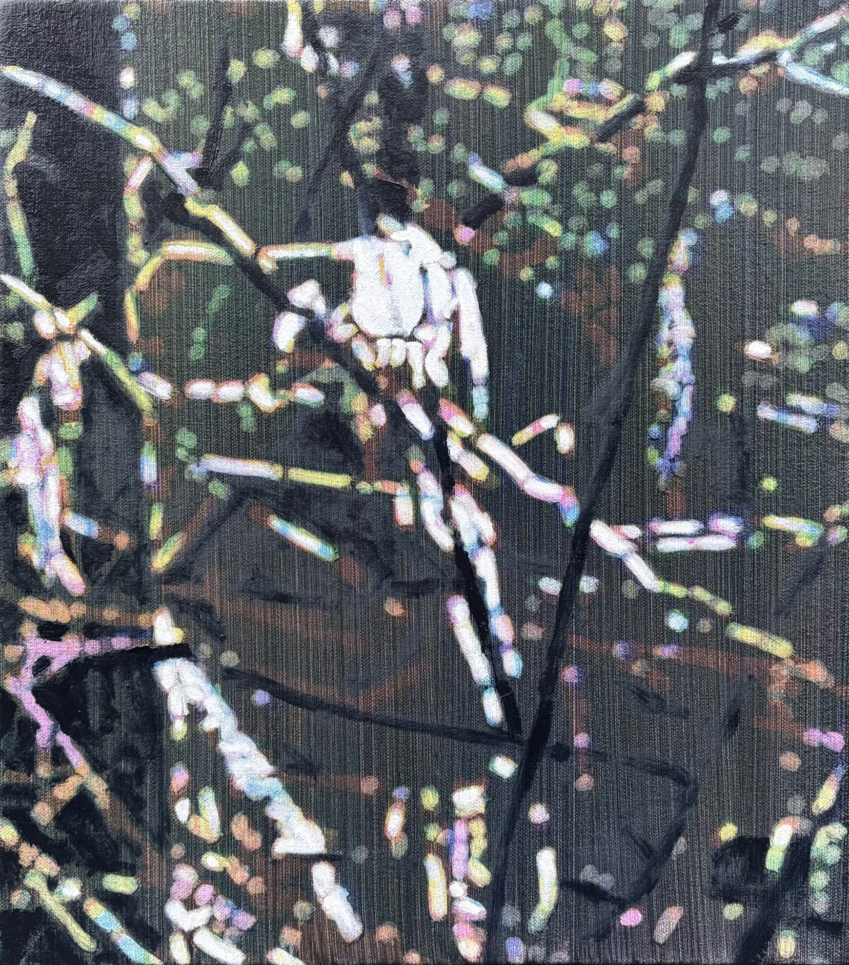 Zoom 3, oil on canvas, 16" x 14", 2026