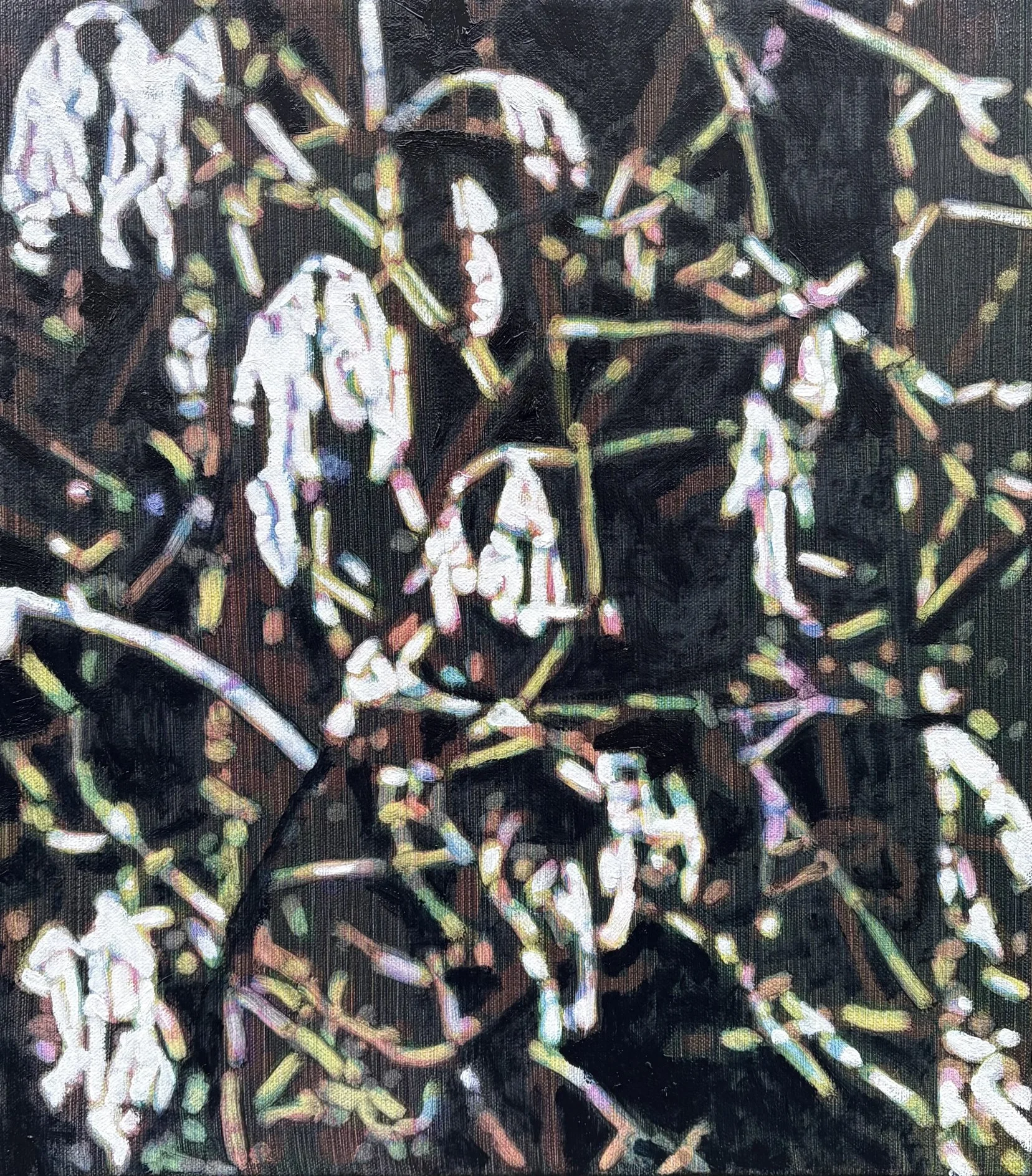 Zoom 4, oil on canvas, 16" x 14", 2026