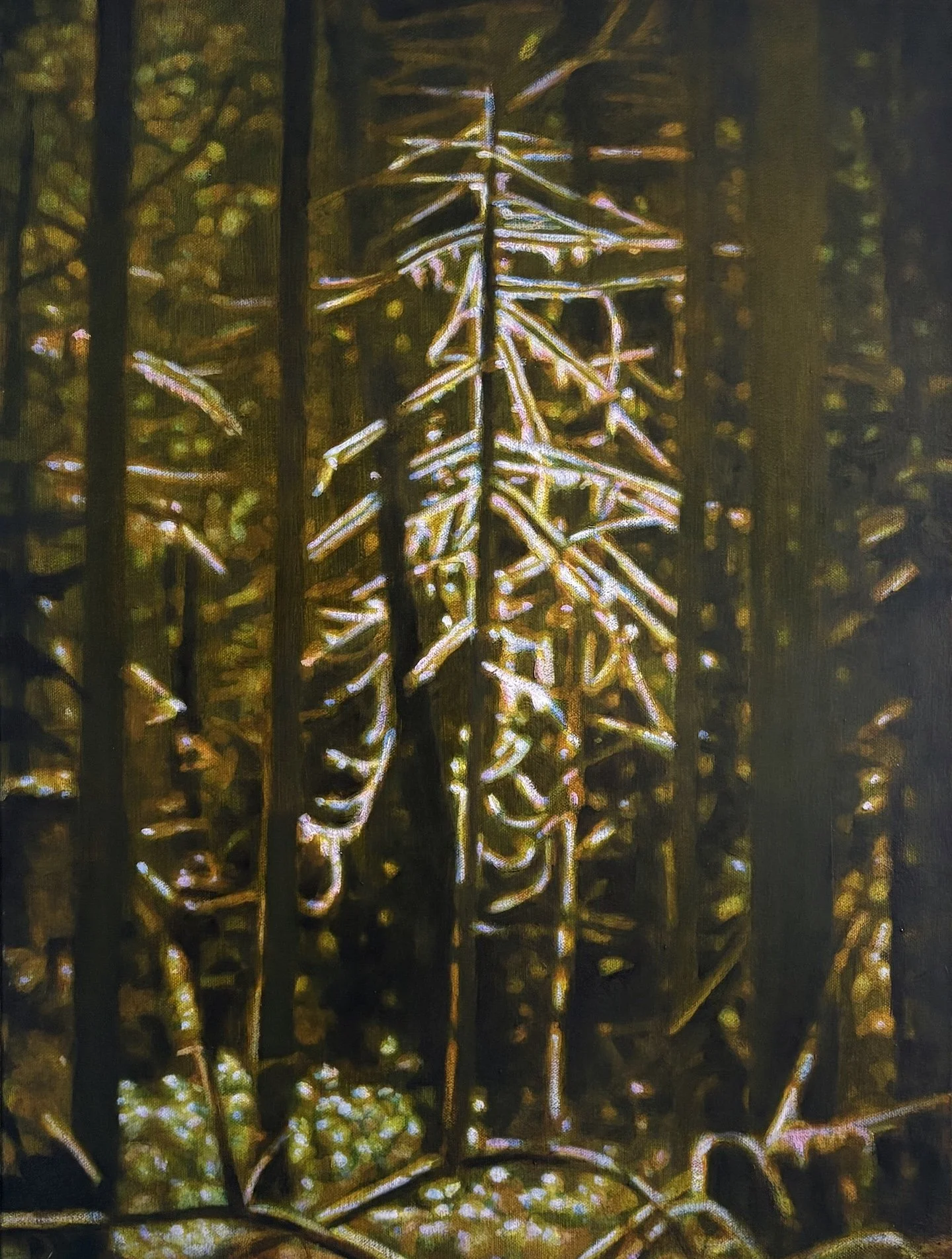This Tree, oil on canvas, 24" x 18", 2026