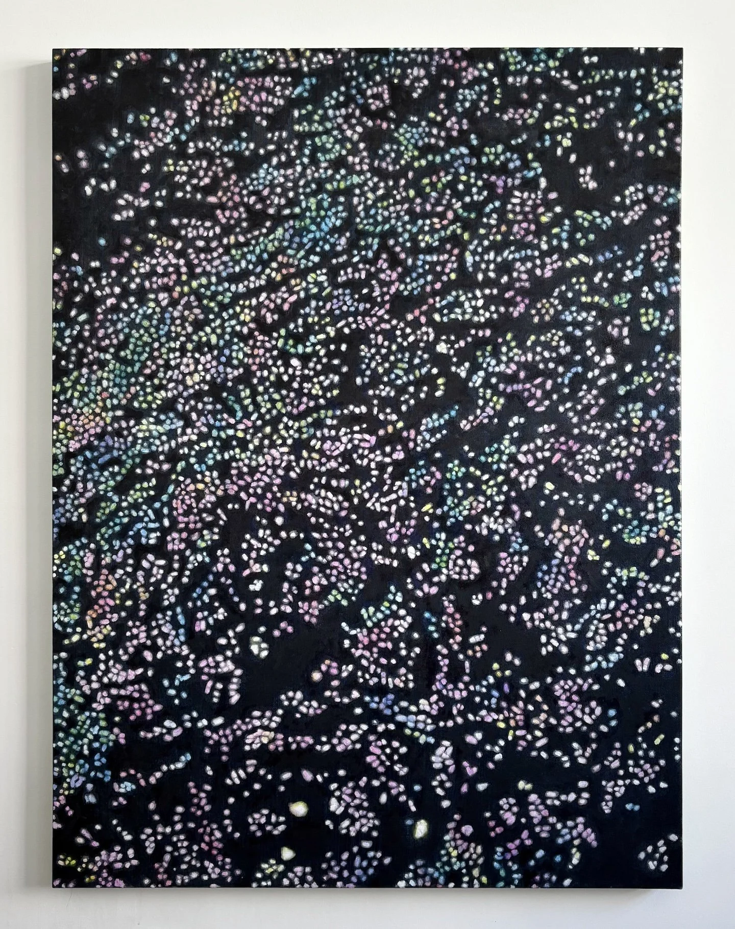 Sun Glitter 4, oil on canvas, 48" x 36", 2026