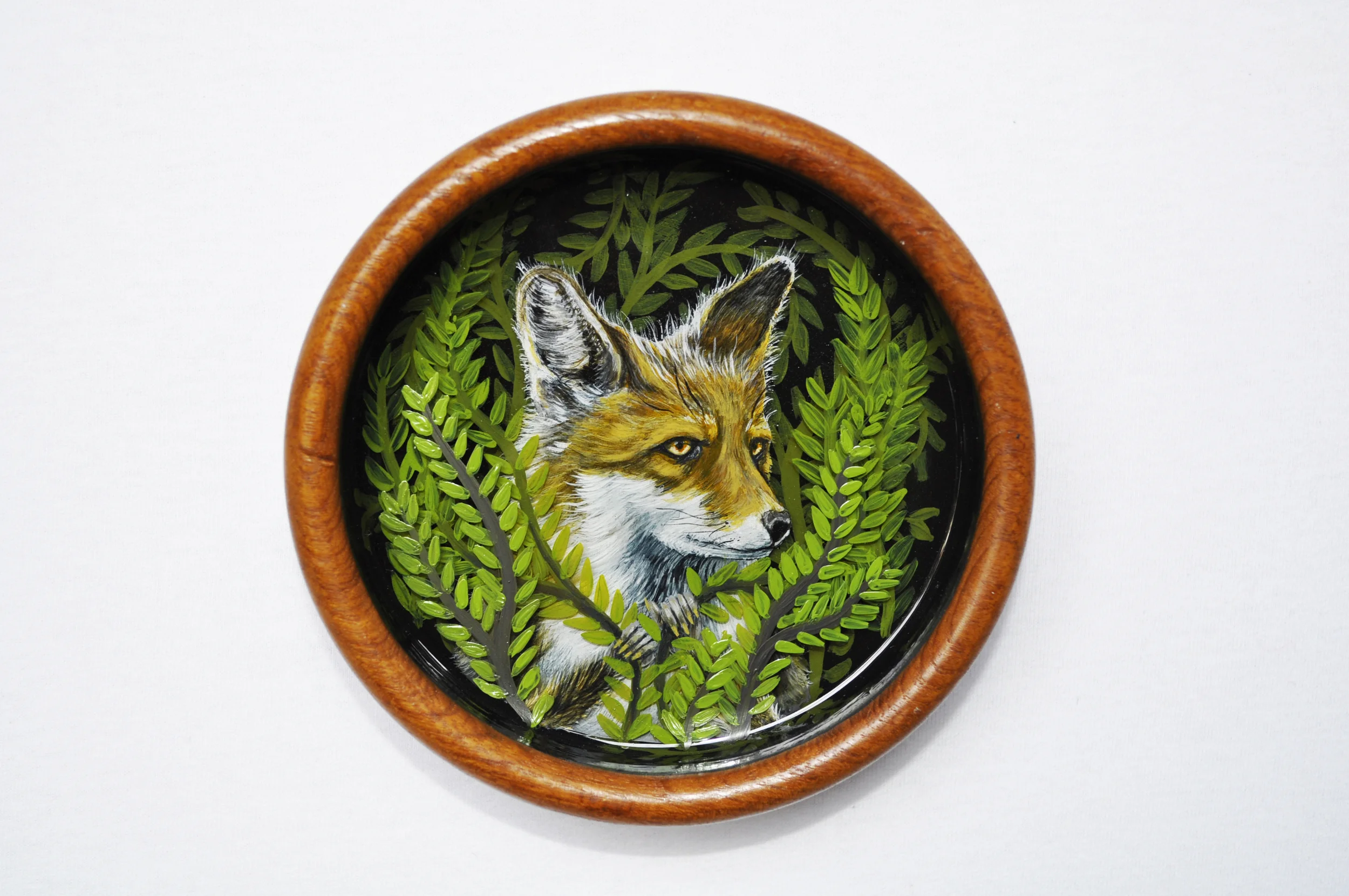 Fox amongst the ferns