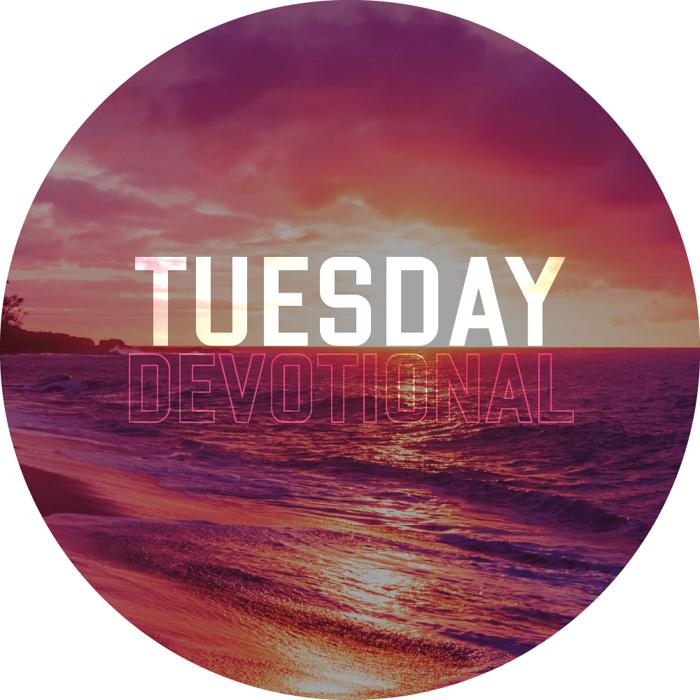 Beach Reach Devotional | Tuesday