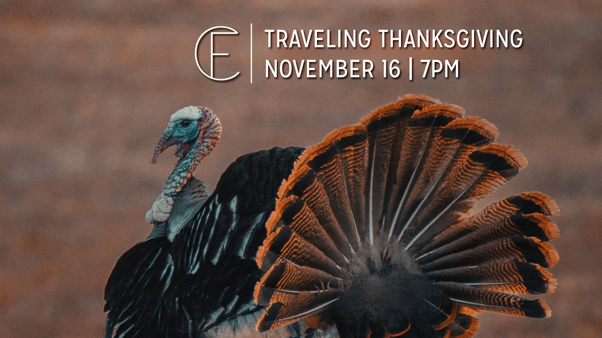 First Connection | Traveling Thanksgiving