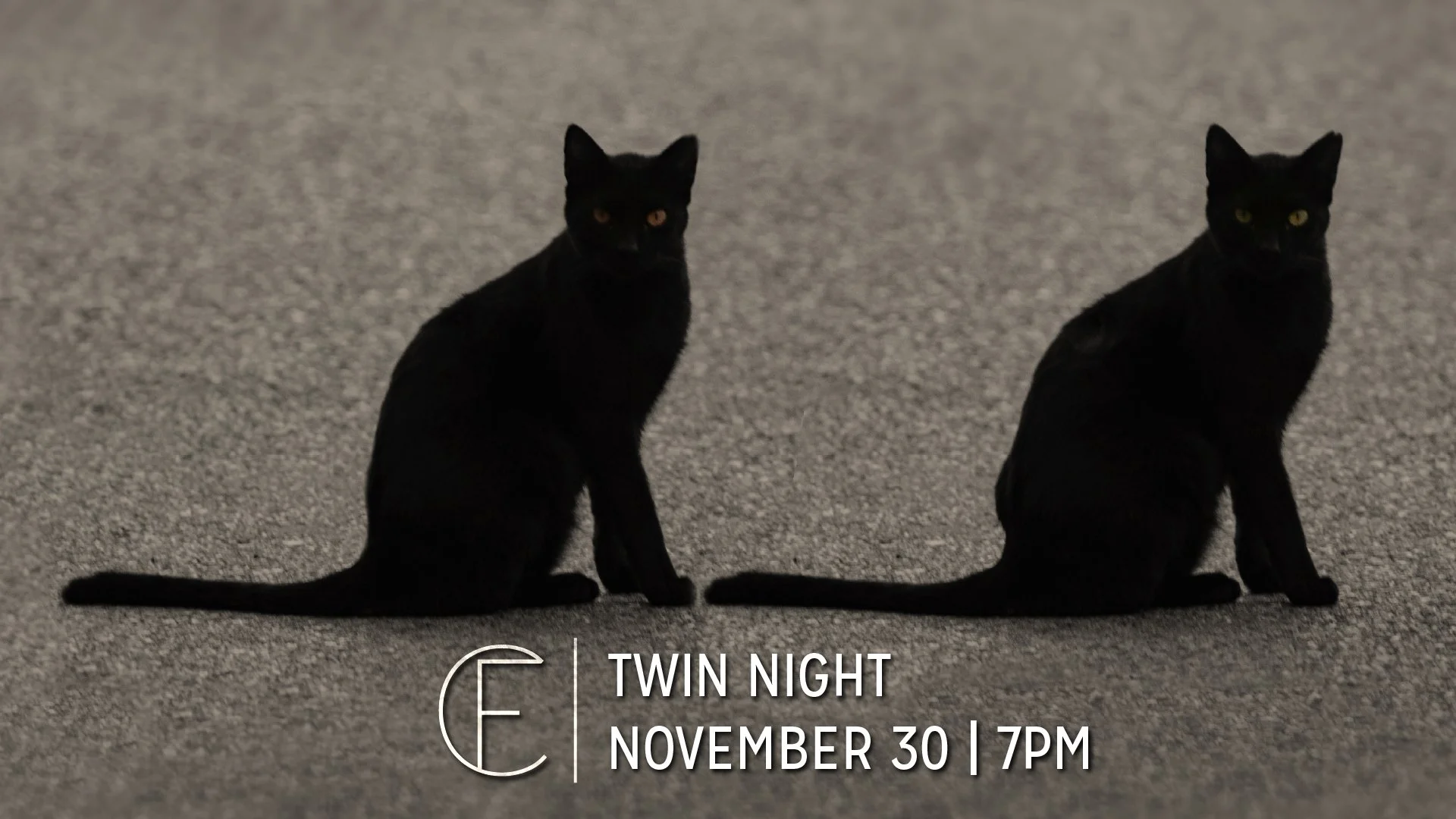 First Connection | Twin Night