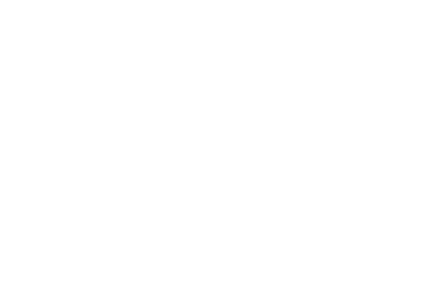 Longhorn BSM